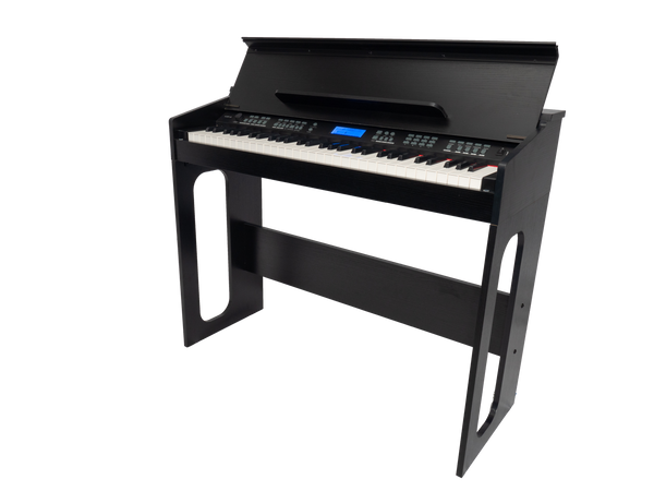 Crown CJDP 61-Key Touch Responsive Digital Piano (Black)