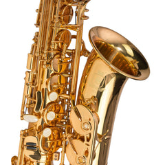 Steinhoff Advanced Student Alto Saxophone (Gold)