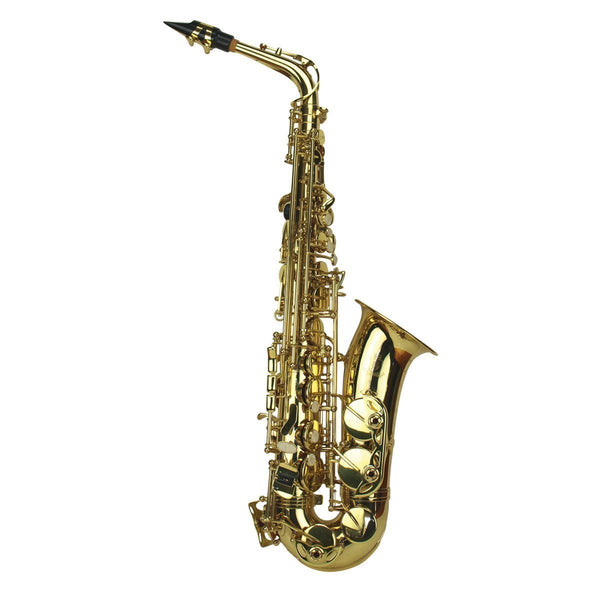 Steinhoff Student Alto Saxophone (Gold)-KSO-AS2-GLD